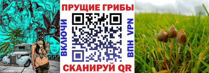 OMG ТОР  Вилюйск  Галлюциногенные грибы Cubensis  купить наркотик 