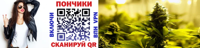 блэк спрут   Вилюйск  МАРИХУАНА план 